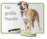 PawCare