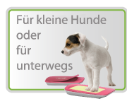 PawCare