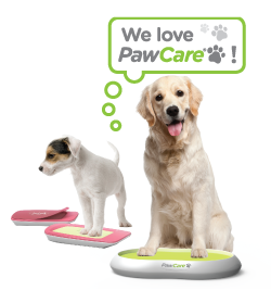 PawCare